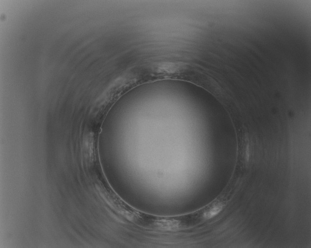 X0000053090328200507181725