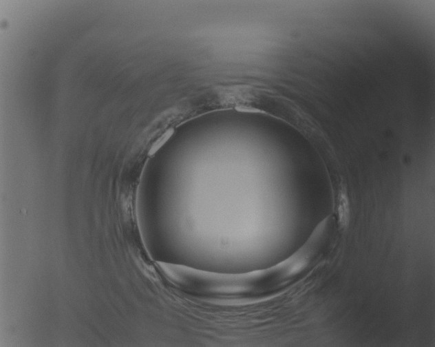 X0000053090329200507181725