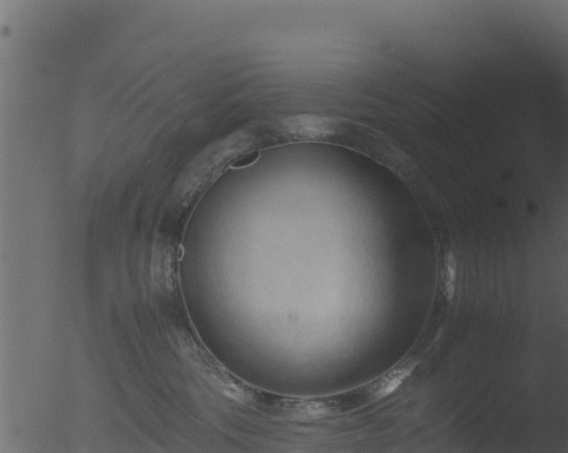 X0000053090330200507181725