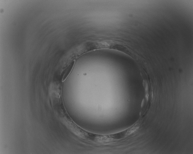 X0000053090331200507181725