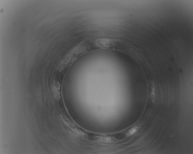 X0000053090332200507181725