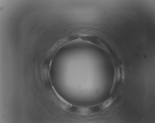 X0000053090333200507181725