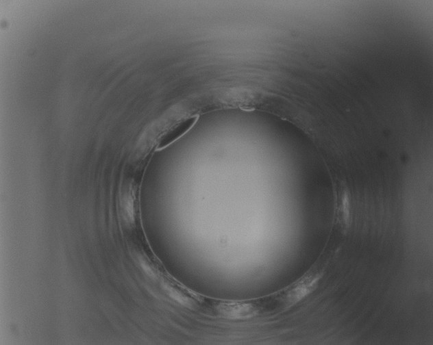 X0000053090334200507181725