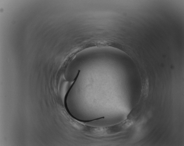 X0000053090335200507181725