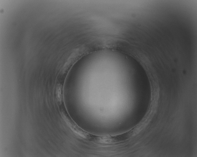 X0000053090336200507181725