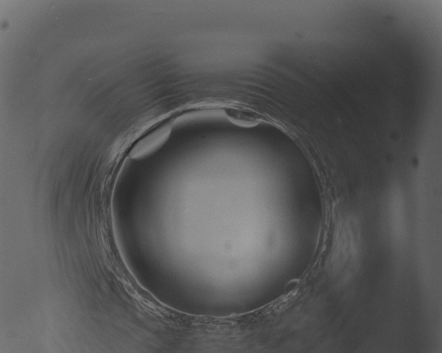 X0000053090337200507181724