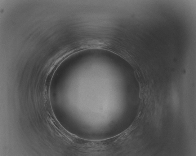 X0000053090338200507181724