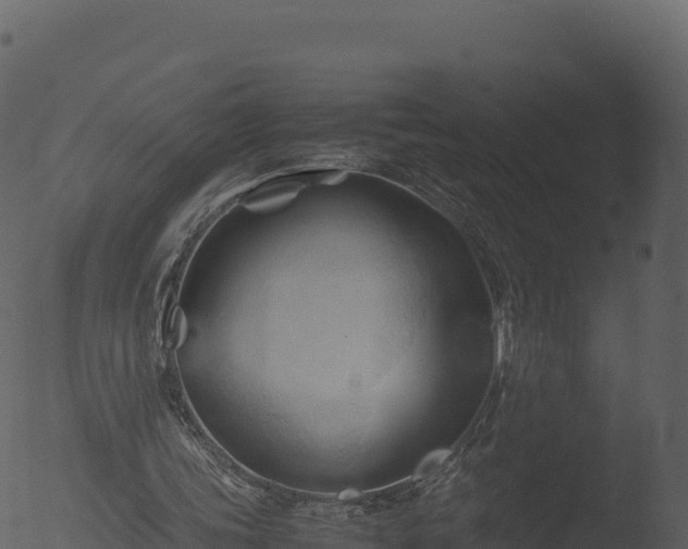 X0000053090339200507181724