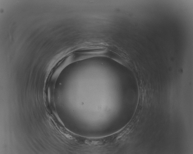 X0000053090340200507181724