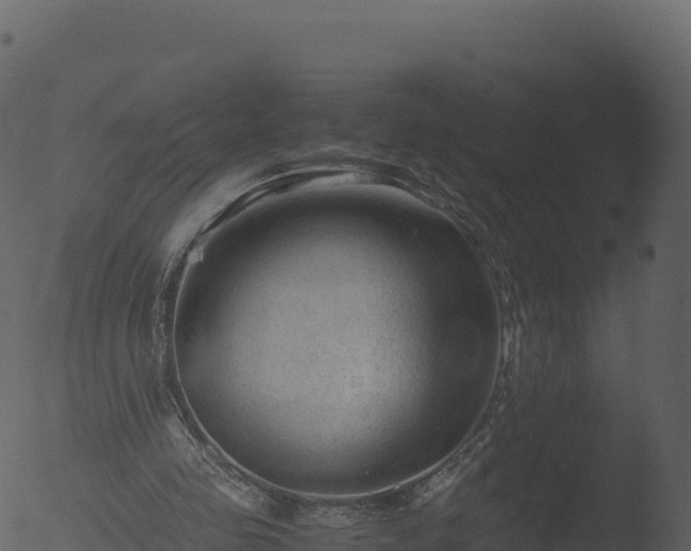 X0000053090341200507181724