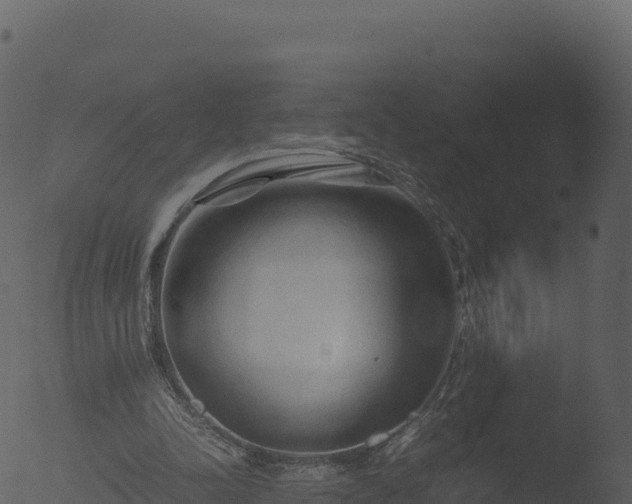 X0000053090342200507181724