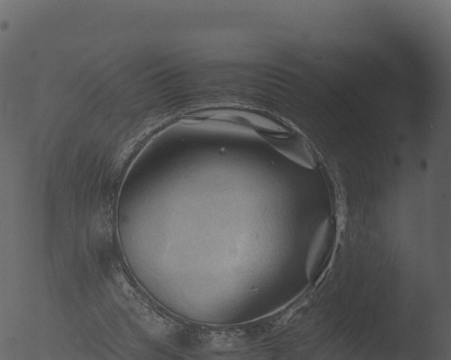 X0000053090345200507181724