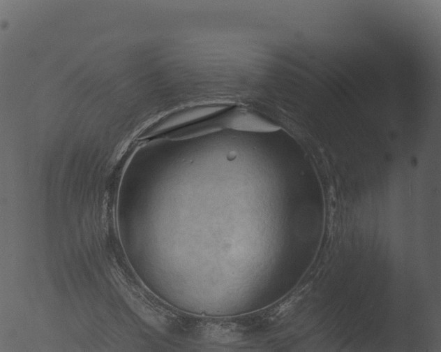 X0000053090346200507181724