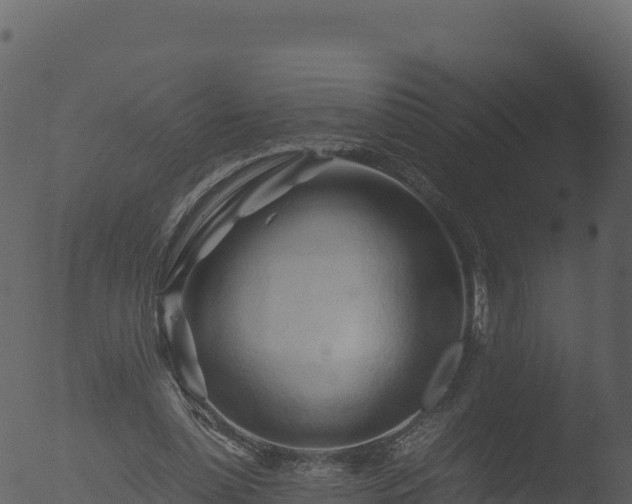 X0000053090348200507181724