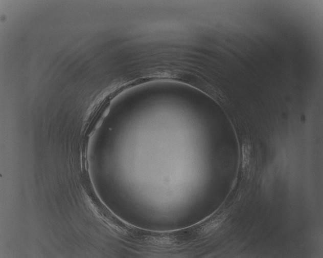 X0000053090349200507181724