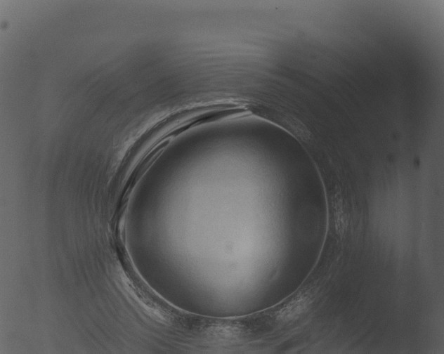 X0000053090350200507181724