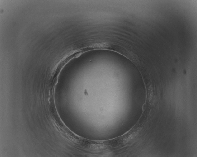 X0000053090351200507181724