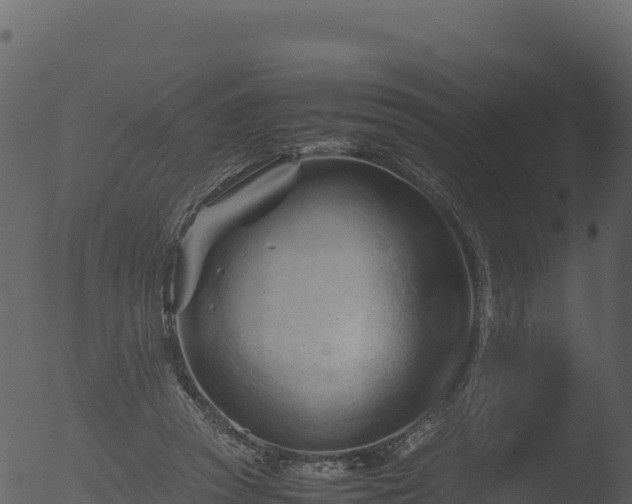 X0000053090353200507181725