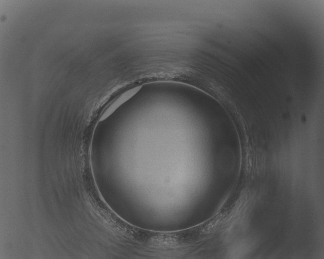 X0000053090354200507181725