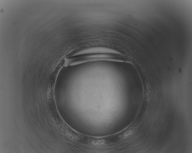 X0000053090355200507181725