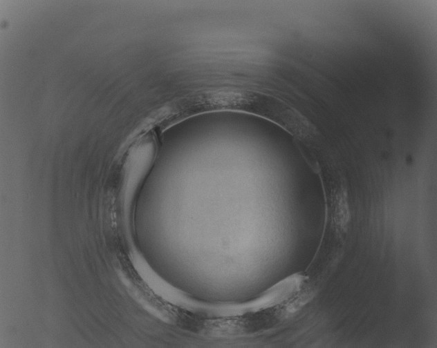 X0000053090356200507181725