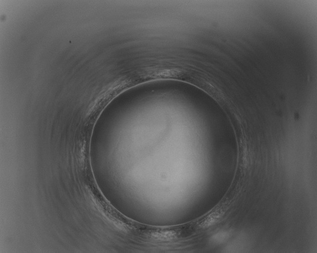 X0000053090357200507181725