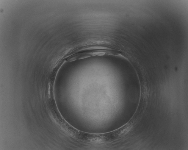 X0000053090358200507181725