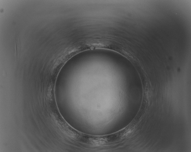 X0000053090359200507181725