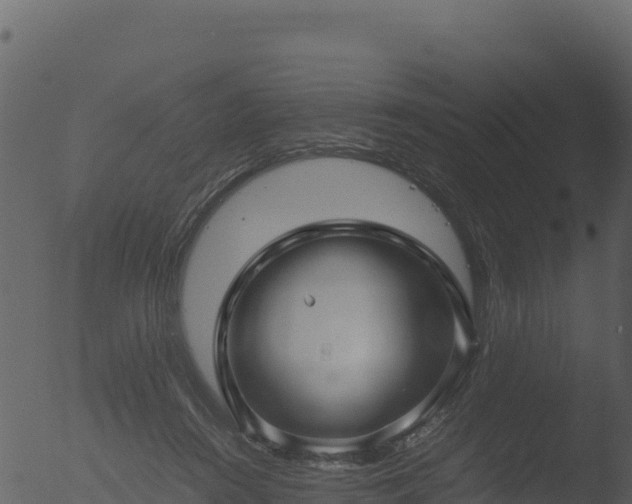 X0000053090360200507181725