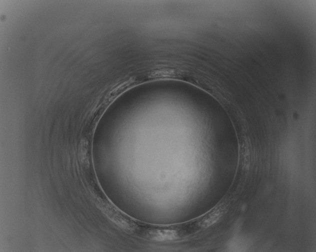 X0000053090361200507181725