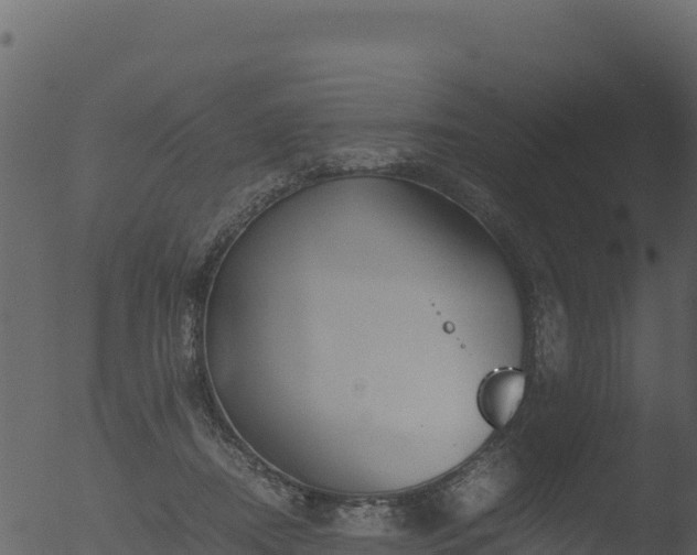 X0000053090362200507181725