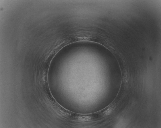 X0000053090363200507181725