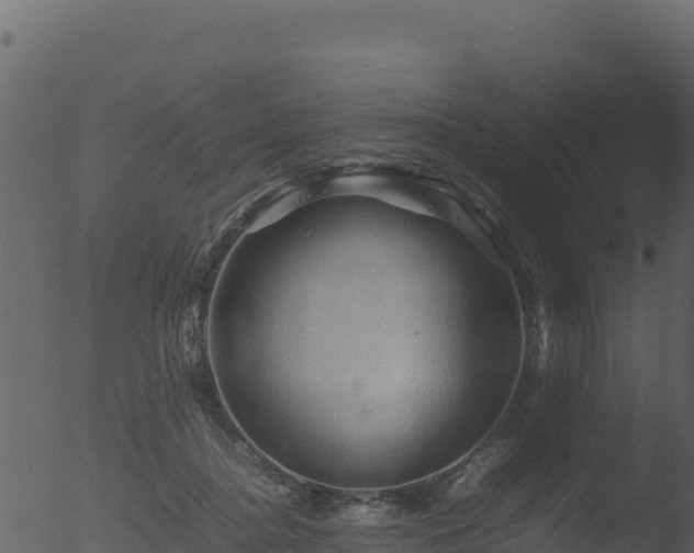 X0000053090364200507181725