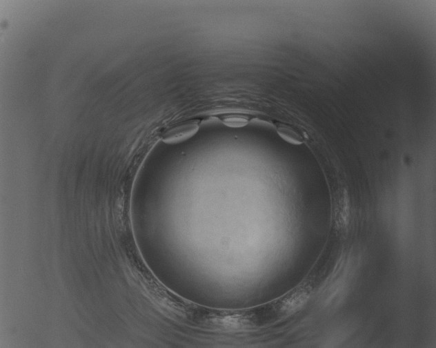 X0000053090365200507181725