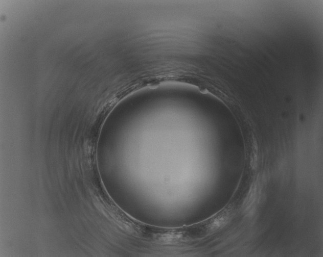 X0000053090366200507181725