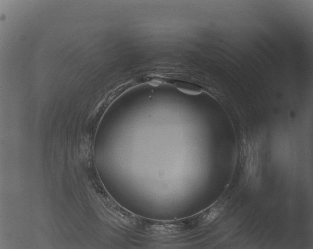 X0000053090367200507181725