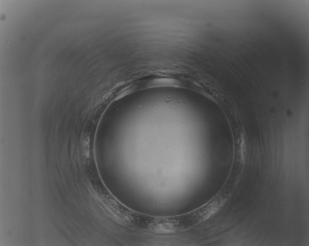 X0000053090368200507181725