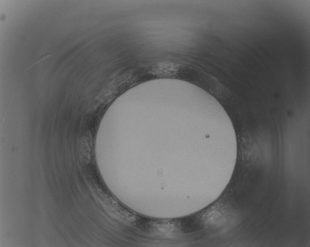 X0000053090370200507181725