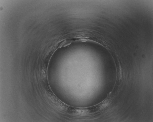 X0000053090371200507181725