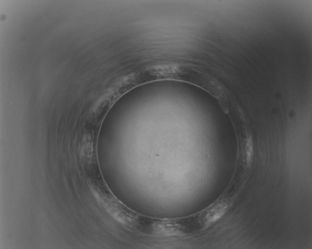 X0000053090372200507181725