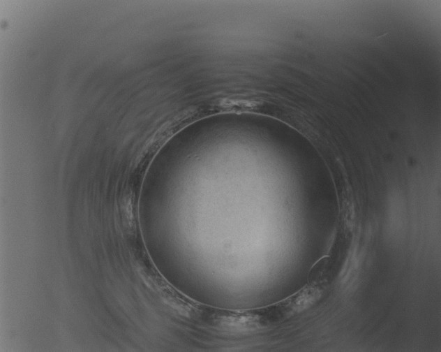 X0000053090375200507181725