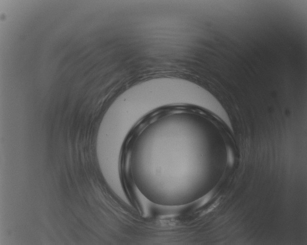 X0000053090376200507181725