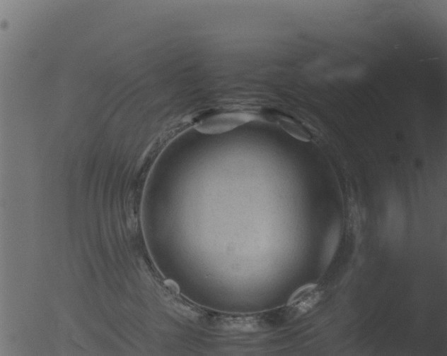 X0000053090377200507181725