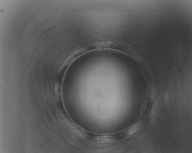 X0000053090378200507181725