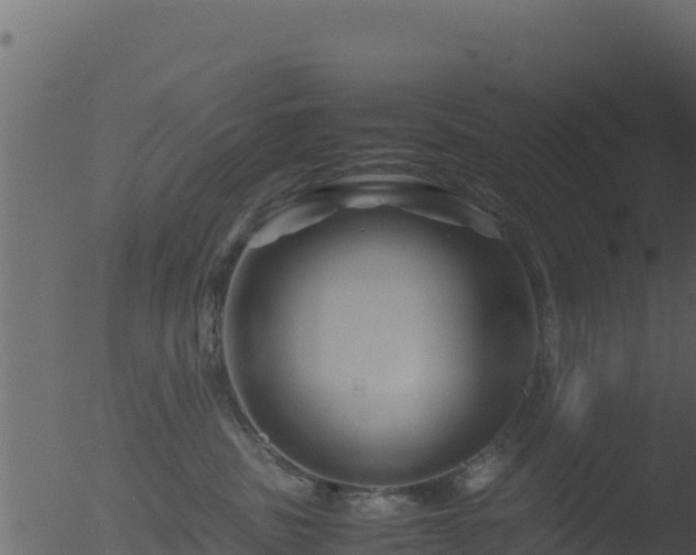 X0000053090379200507181725