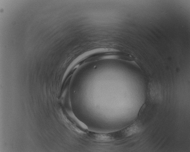 X0000053090380200507181725