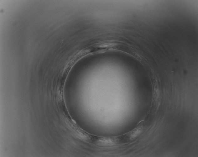 X0000053090381200507181725