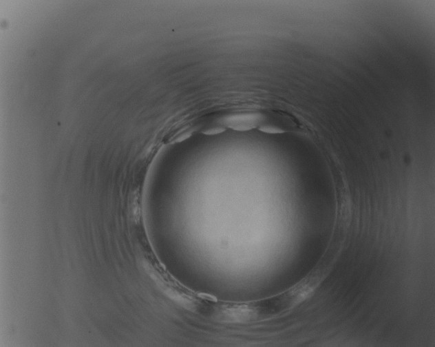 X0000053090383200507181725