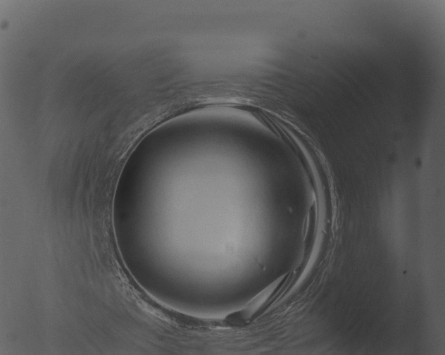 X0000053090385200507181724