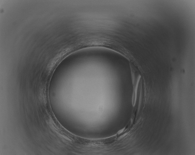 X0000053090386200507181724